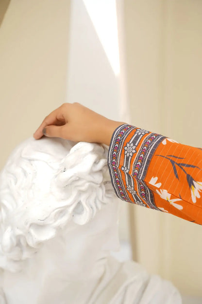 Afsana - 2pc Stitched