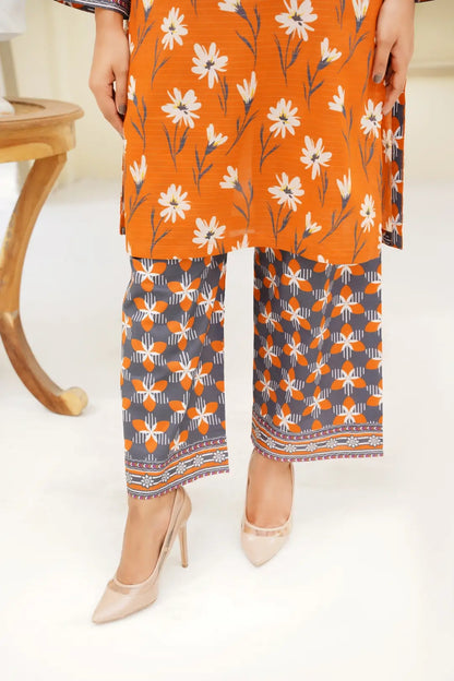 Afsana - 2pc Stitched